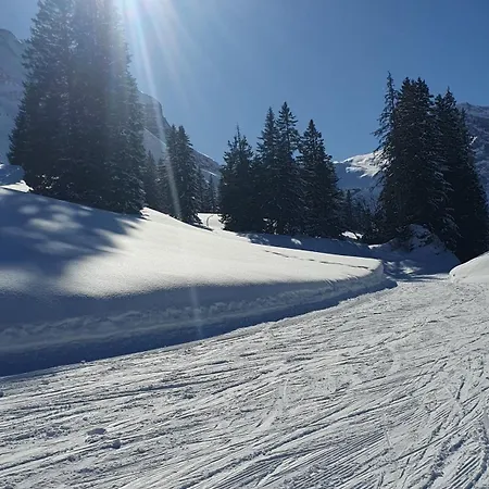 Novy فندق مبيت وإفطار باخ