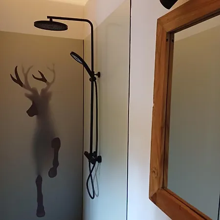 Novy فندق مبيت وإفطار باخ