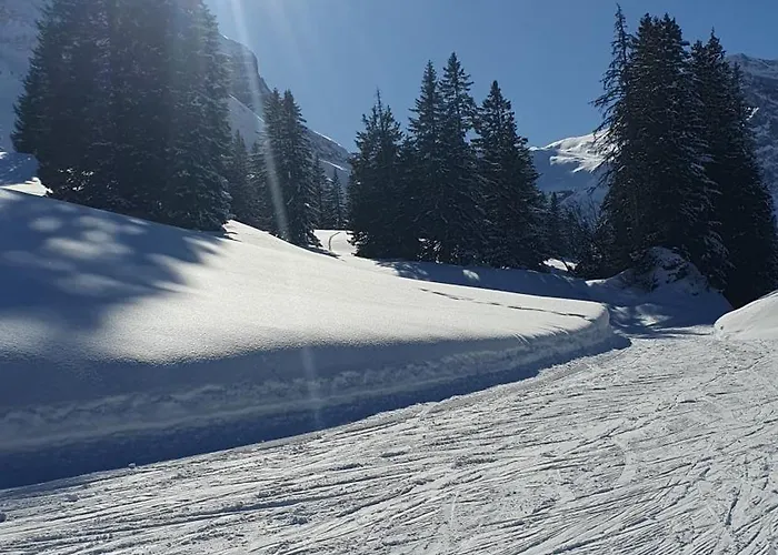 Novy לינה וארוחת בוקר באך